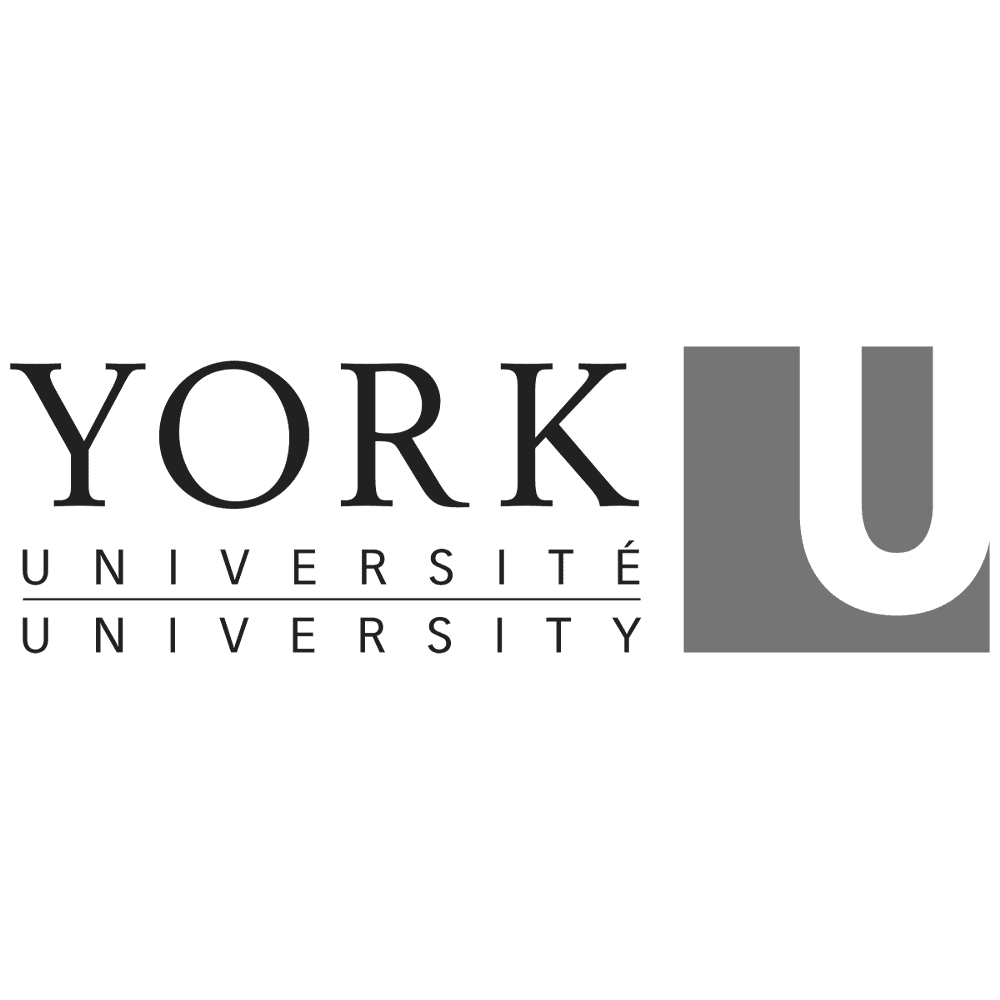 yorkuniversity